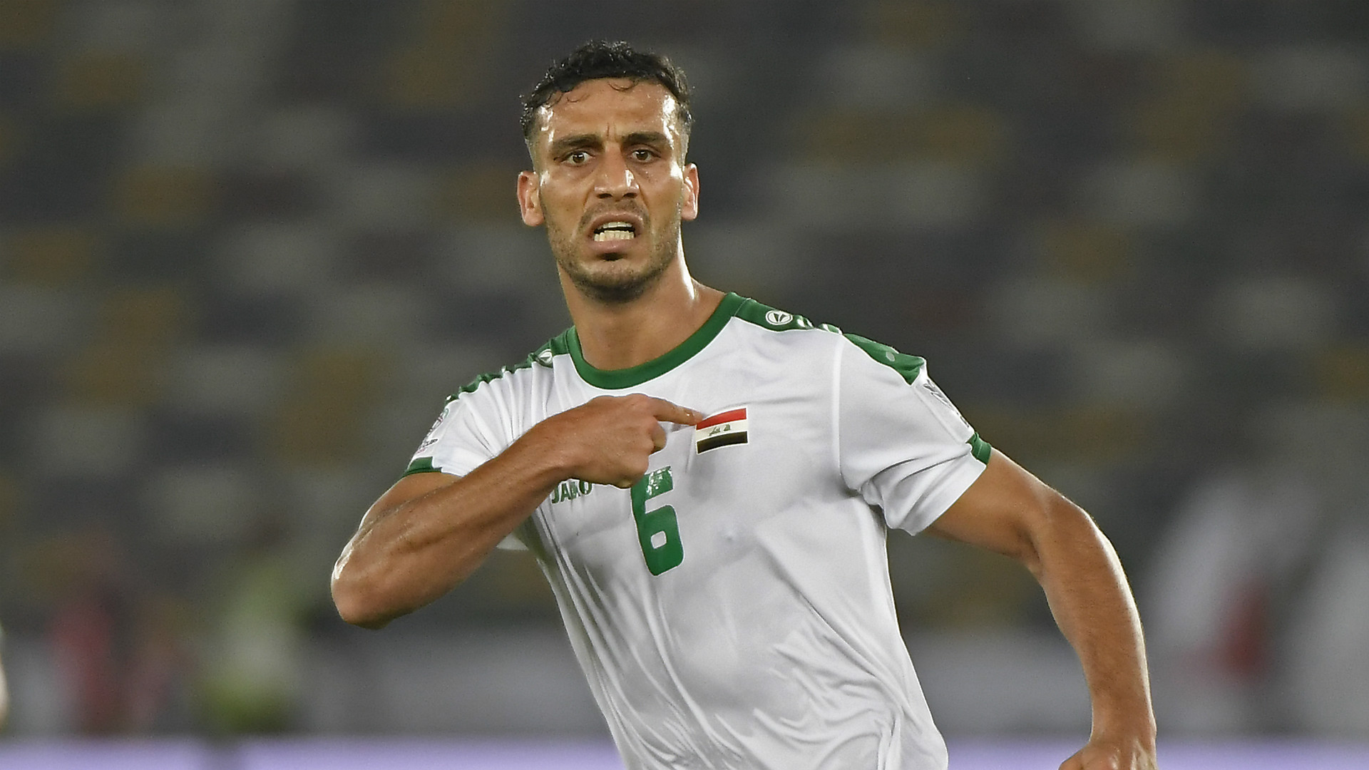 了新的活力 了新的活力